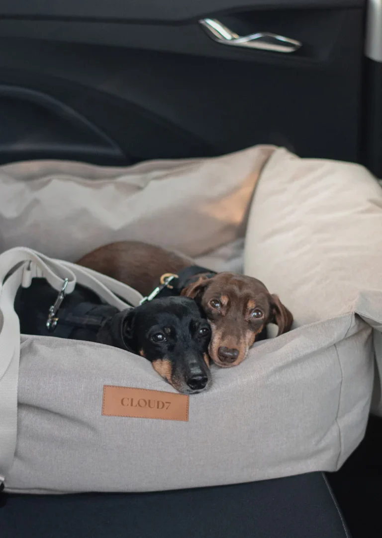 At Dachshund Haven, we understand how exciting and emotional it is to welcome a new puppy into your life. When your puppy is traveling across the country to reach your home, preparation is key. That’s why we’ve designed a thoughtful and complete care package for every shipment. This post explains our puppy travel kit: what comes with your shipped Dachshund so you know exactly what to expect when your new best friend arrives.