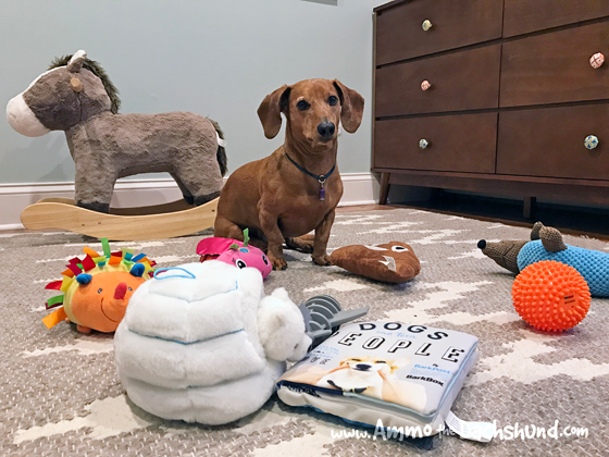 Best Toys for Mental Stimulation and Healthy Play