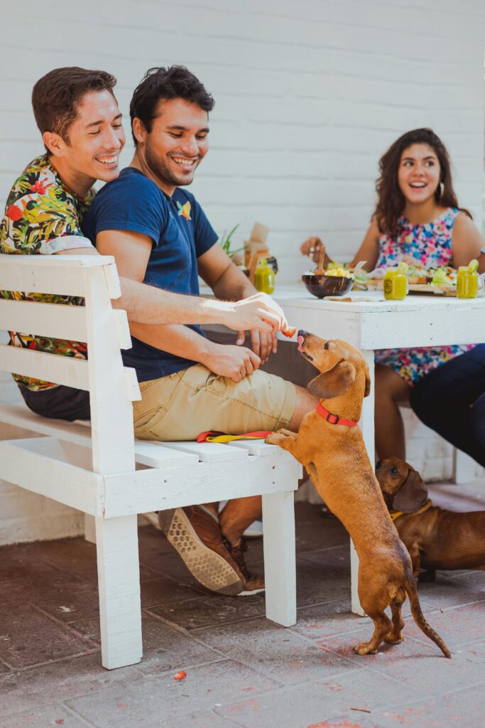 Two men smiling at a playful dog during an outdoor lunch with friends, embodying joy and togetherness.